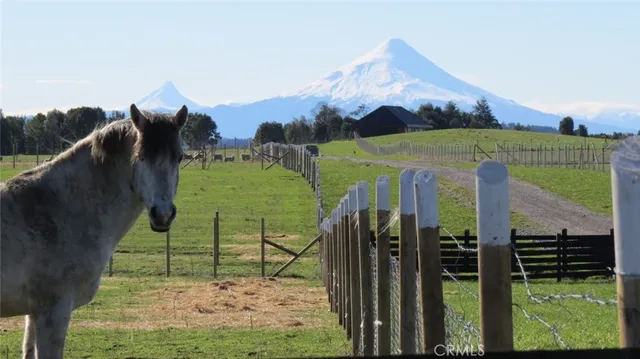 $65,000 | 100 V-40, Valencia, OS 91355