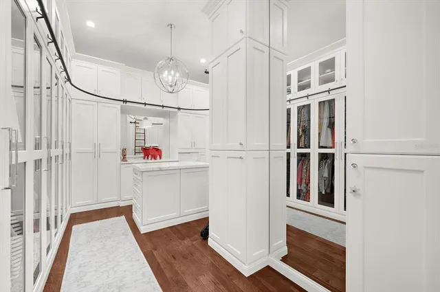 a view of a garden with a palm tree