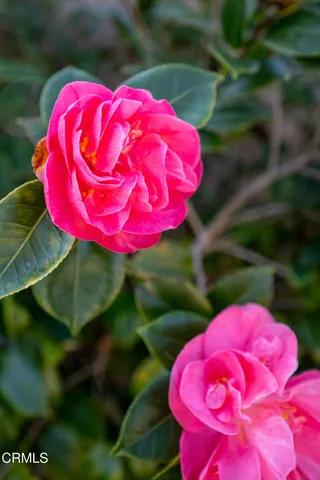 $719,000 | 780 Myrna Drive, Port Hueneme, CA 93041