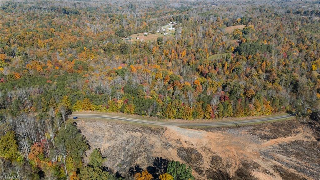 0 Ralph Joyce Road Sandy Ridge, NC 27046 - Photo 11 of 13