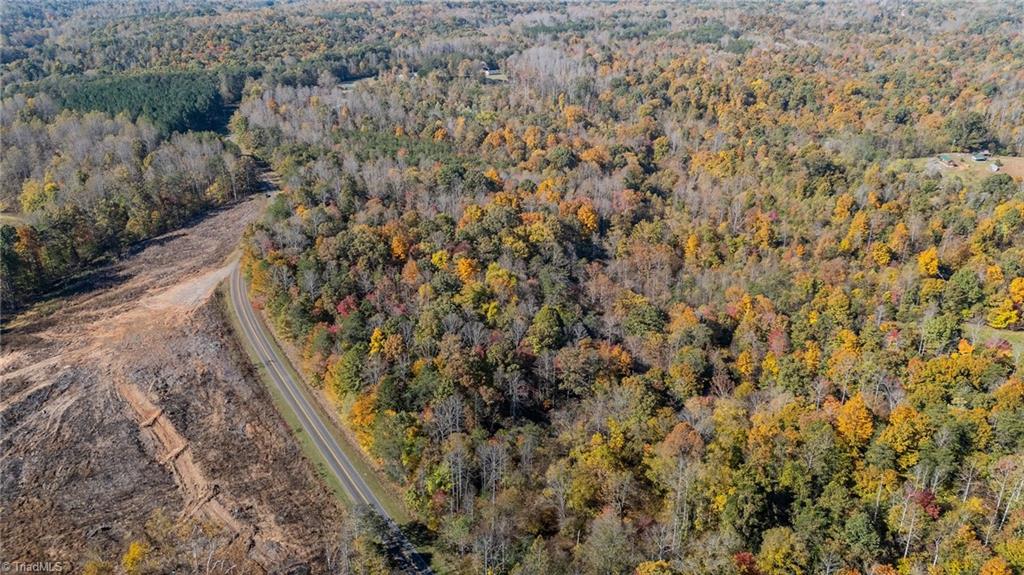 0 Ralph Joyce Road Sandy Ridge, NC 27046 - Photo 12 of 13