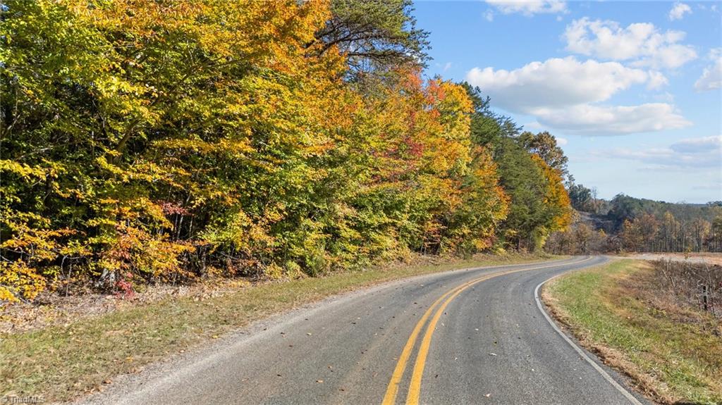 0 Ralph Joyce Road Sandy Ridge, NC 27046 - Photo 13 of 13