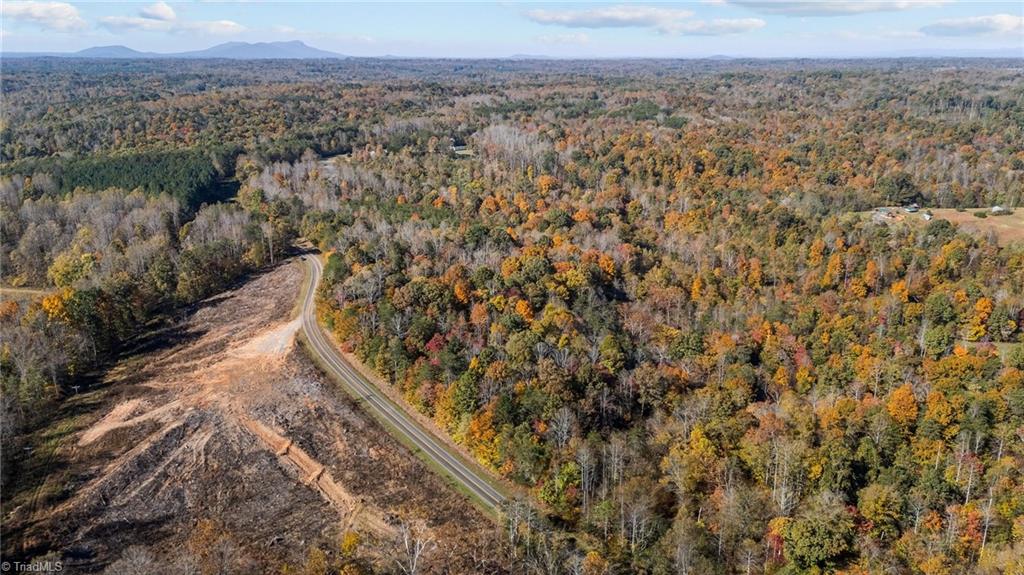 0 Ralph Joyce Road Sandy Ridge, NC 27046 - Photo 2 of 13