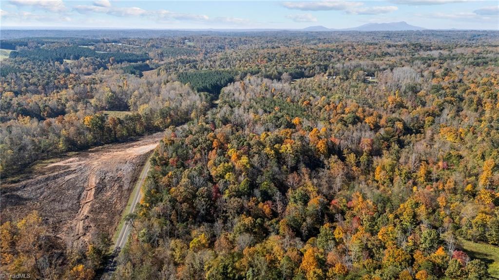 0 Ralph Joyce Road Sandy Ridge, NC 27046 - Photo 3 of 13
