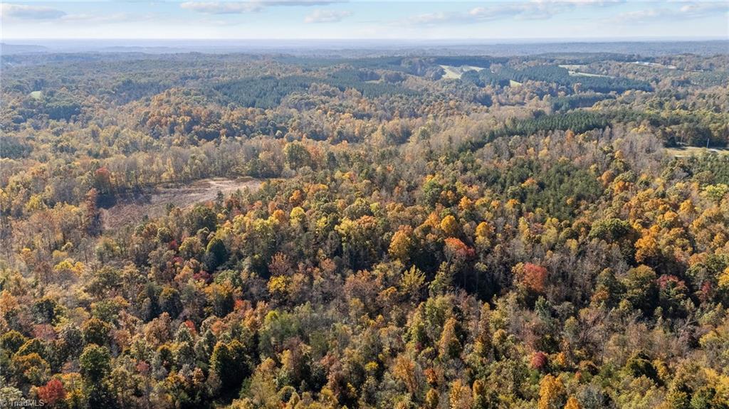 0 Ralph Joyce Road Sandy Ridge, NC 27046 - Photo 4 of 13