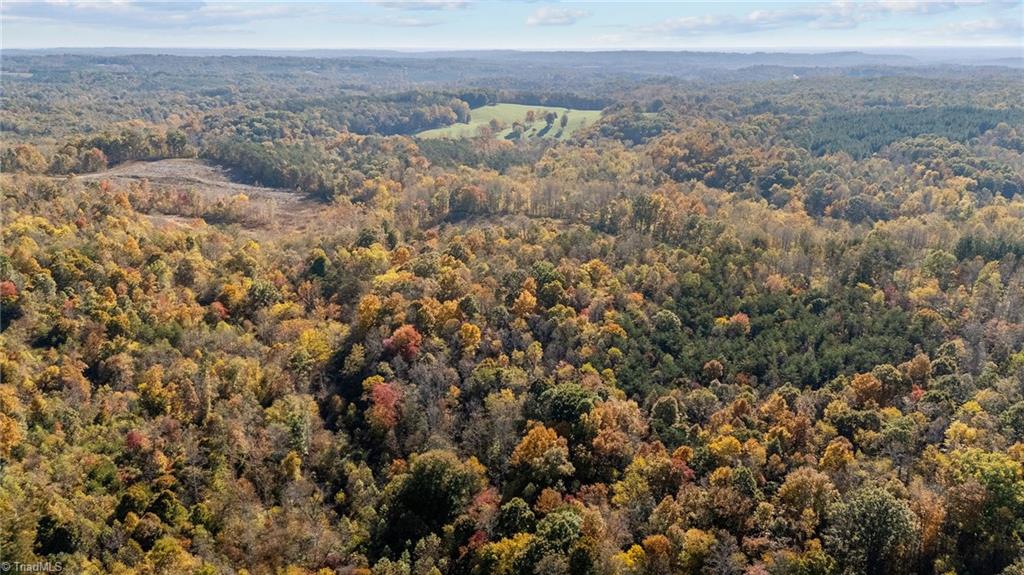 0 Ralph Joyce Road Sandy Ridge, NC 27046 - Photo 5 of 13
