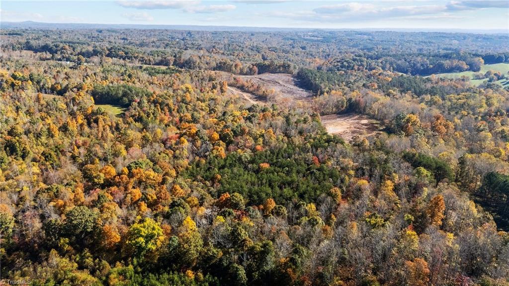 0 Ralph Joyce Road Sandy Ridge, NC 27046 - Photo 6 of 13