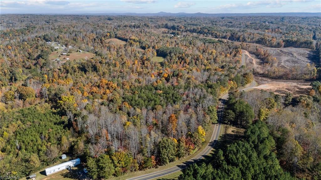 0 Ralph Joyce Road Sandy Ridge, NC 27046 - Photo 8 of 13