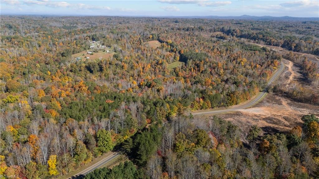 0 Ralph Joyce Road Sandy Ridge, NC 27046 - Photo 9 of 13