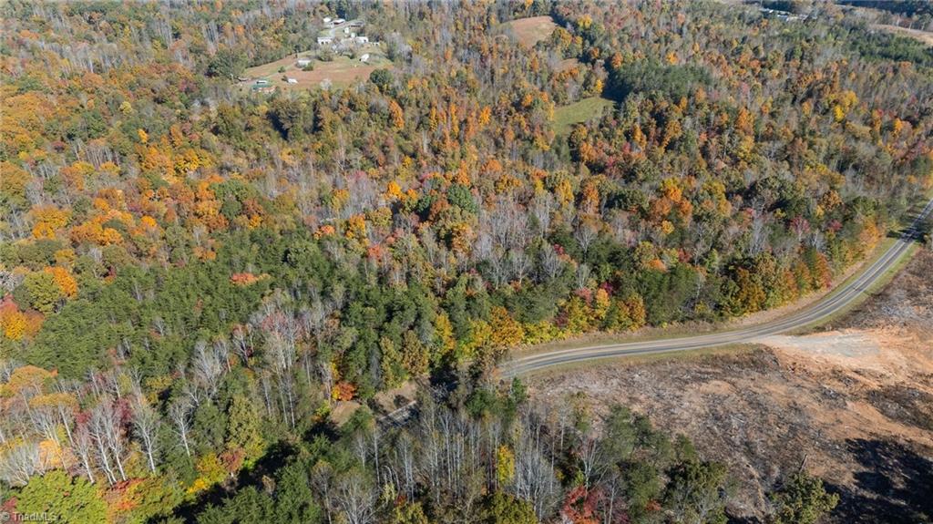 0 Ralph Joyce Road Sandy Ridge, NC 27046 - Photo 10 of 13