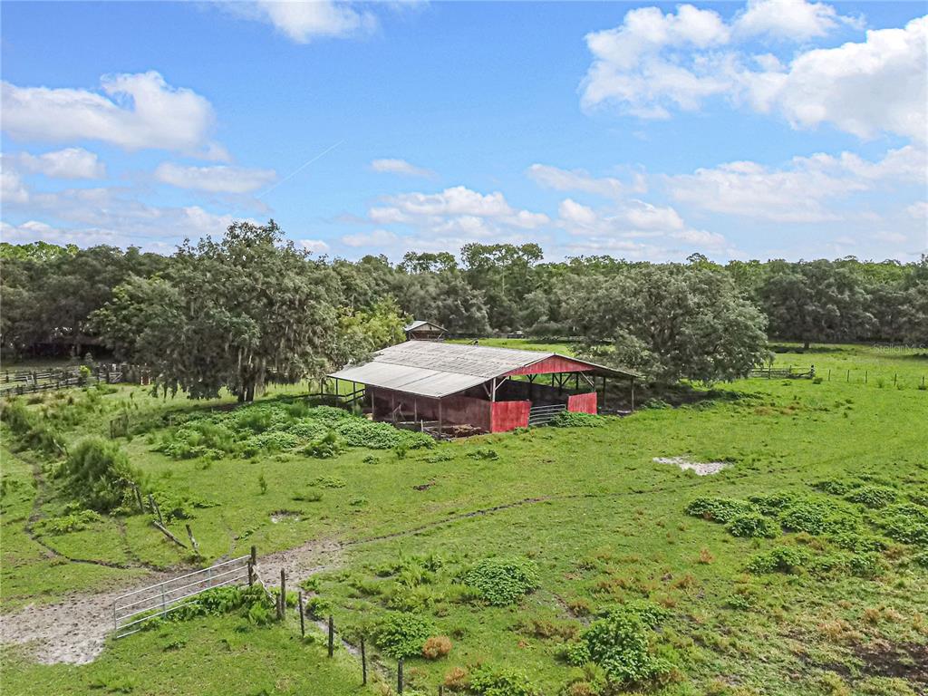 3350 Northeast 125th Terrace Road Silver Springs, FL 34488 - Photo 13 of 47 a view of yard with swimming pool and green space