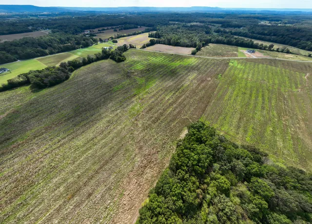 an aerial view of residential houses with outdoor space and trees