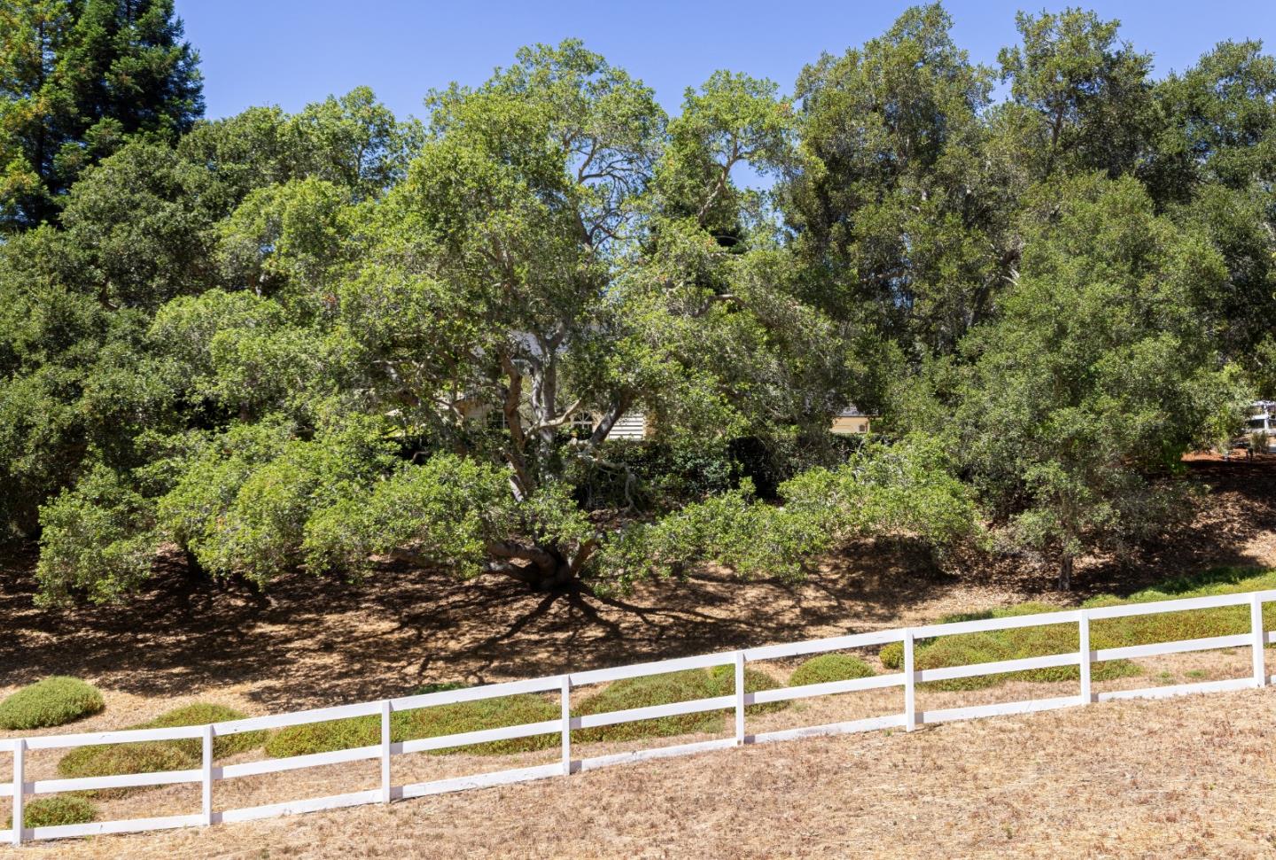 661 Meadow Road Aptos, CA 95003 - Photo 63 of 65