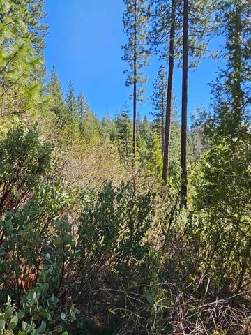 a view of outdoor space with deck and yard