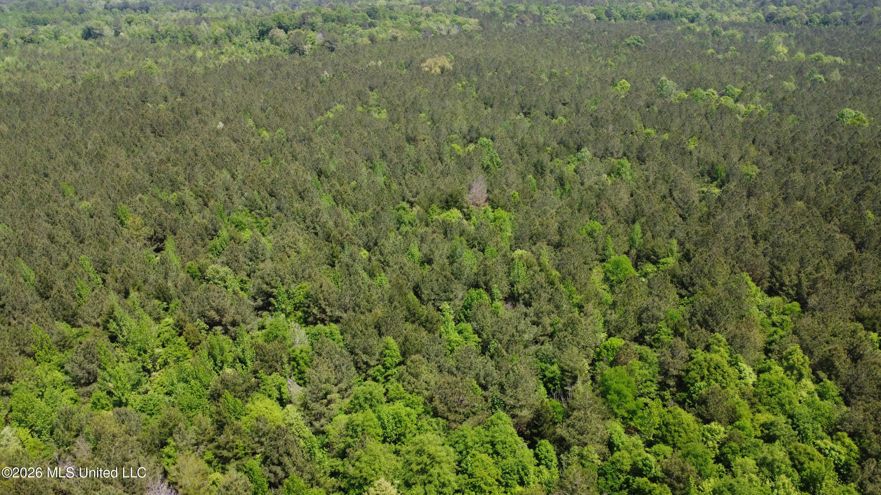 Christian Hts Road Braxton, MS 39044 - Photo 7 of 36 DJI_0822
