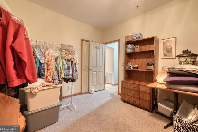 a view of a forest that has large trees