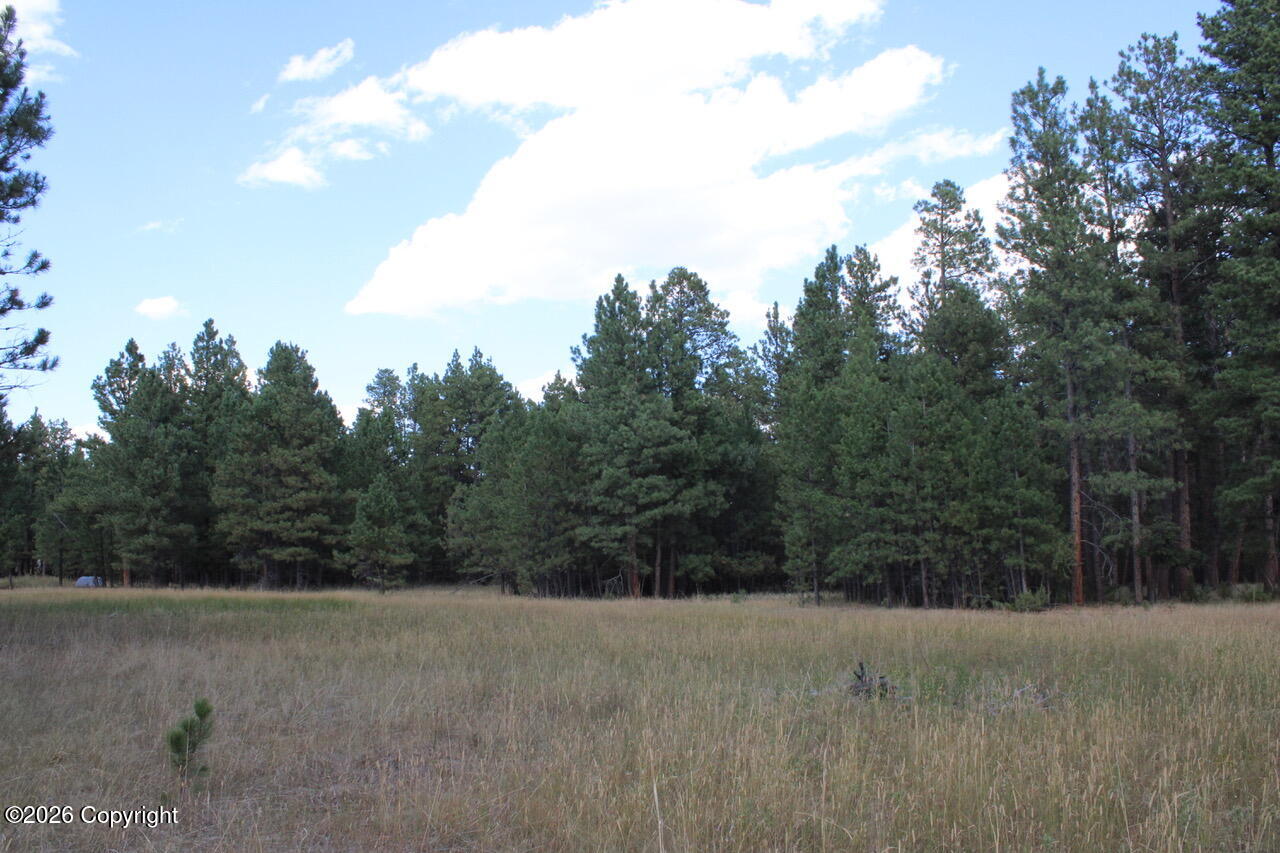 Lot 11 Bruin Road Alzada, MT 59311 - Photo 51 of 51 Gallery Image 51