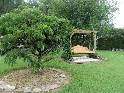 6821 Fairview Road Corryton, TN 37721 - Photo 13 of 37 Additional Photo