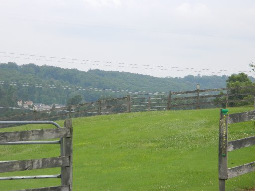 6821 Fairview Road Corryton, TN 37721 - Photo 4 of 37 Additional Photo