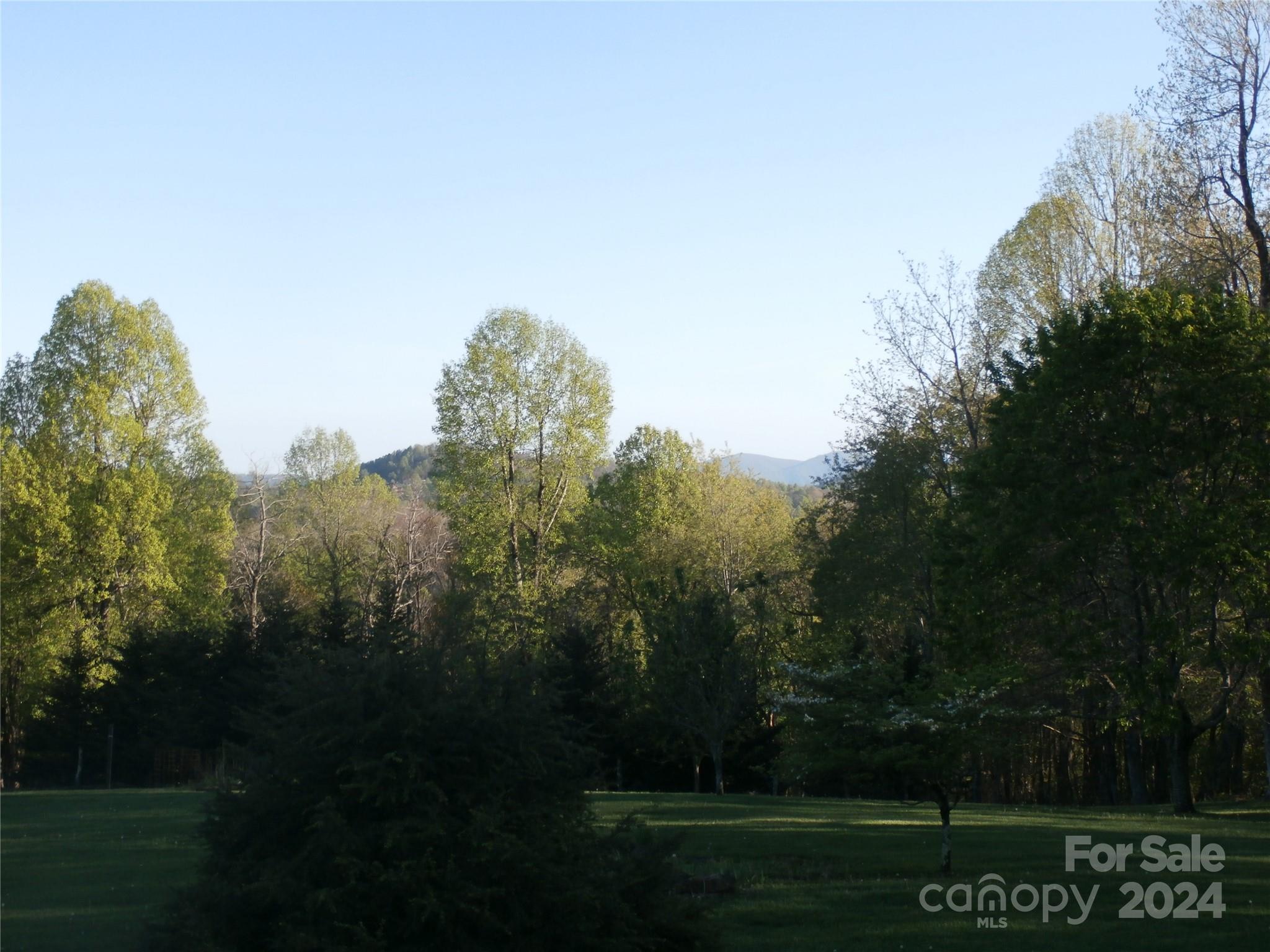 288 Firetower Road Spruce Pine, NC 28777 - Photo 19 of 47 a view of a grassy area with an trees