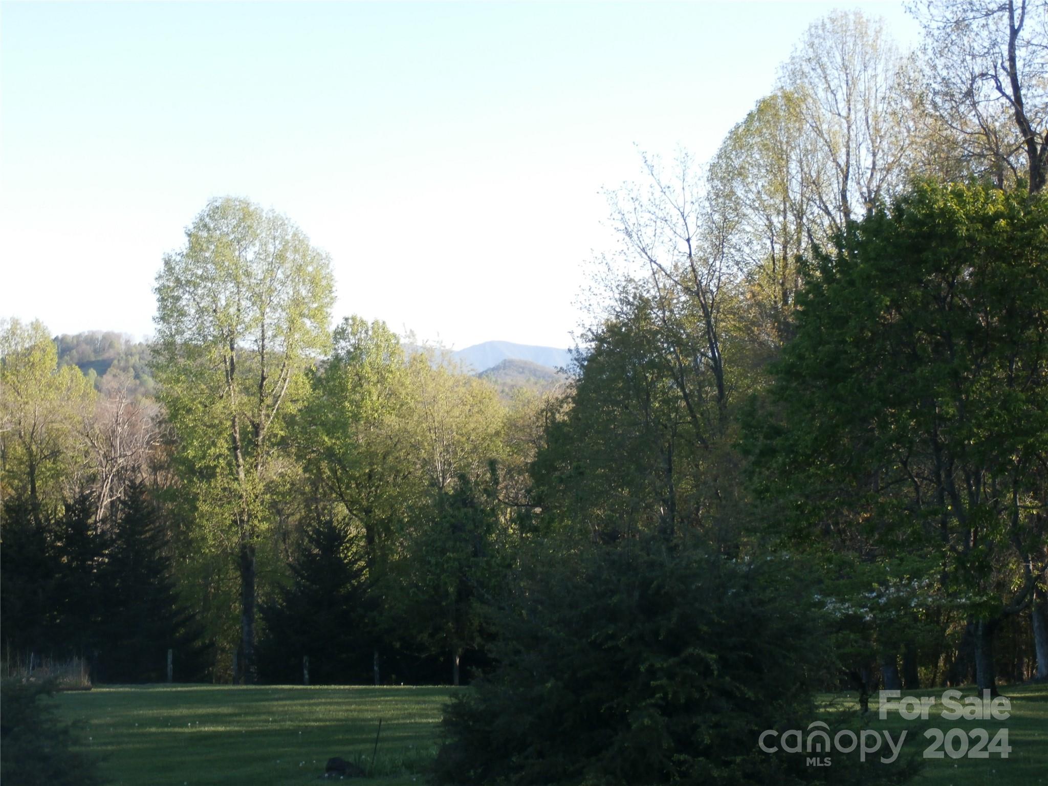 288 Firetower Road Spruce Pine, NC 28777 - Photo 20 of 47 a view of a grassy field with trees in the background