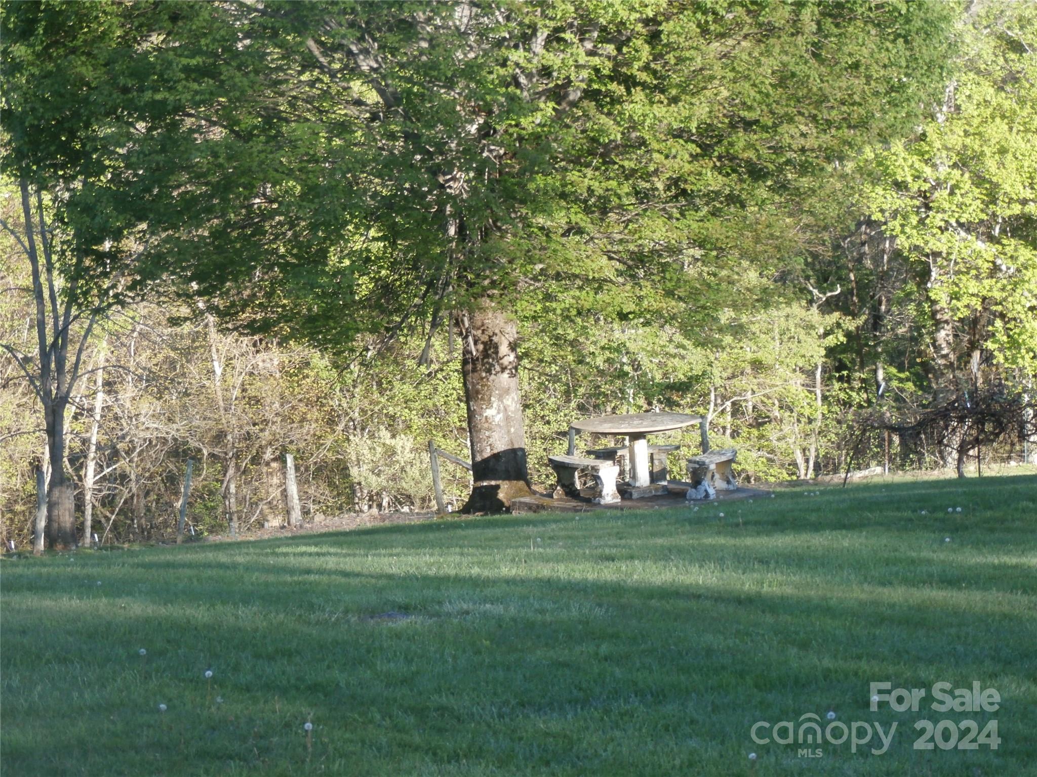 288 Firetower Road Spruce Pine, NC 28777 - Photo 2 of 47