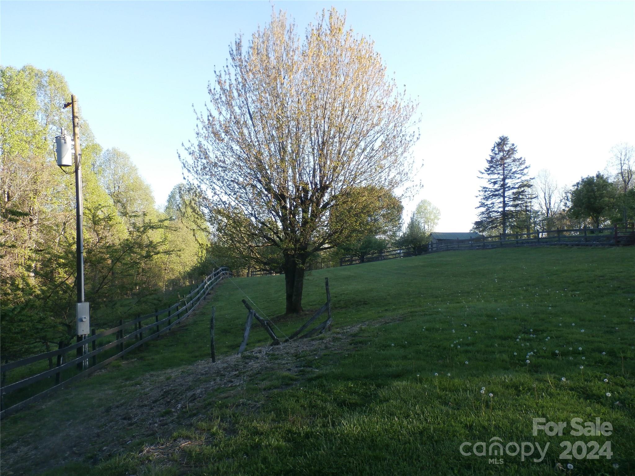 288 Firetower Road Spruce Pine, NC 28777 - Photo 26 of 47 a view of a park with large trees