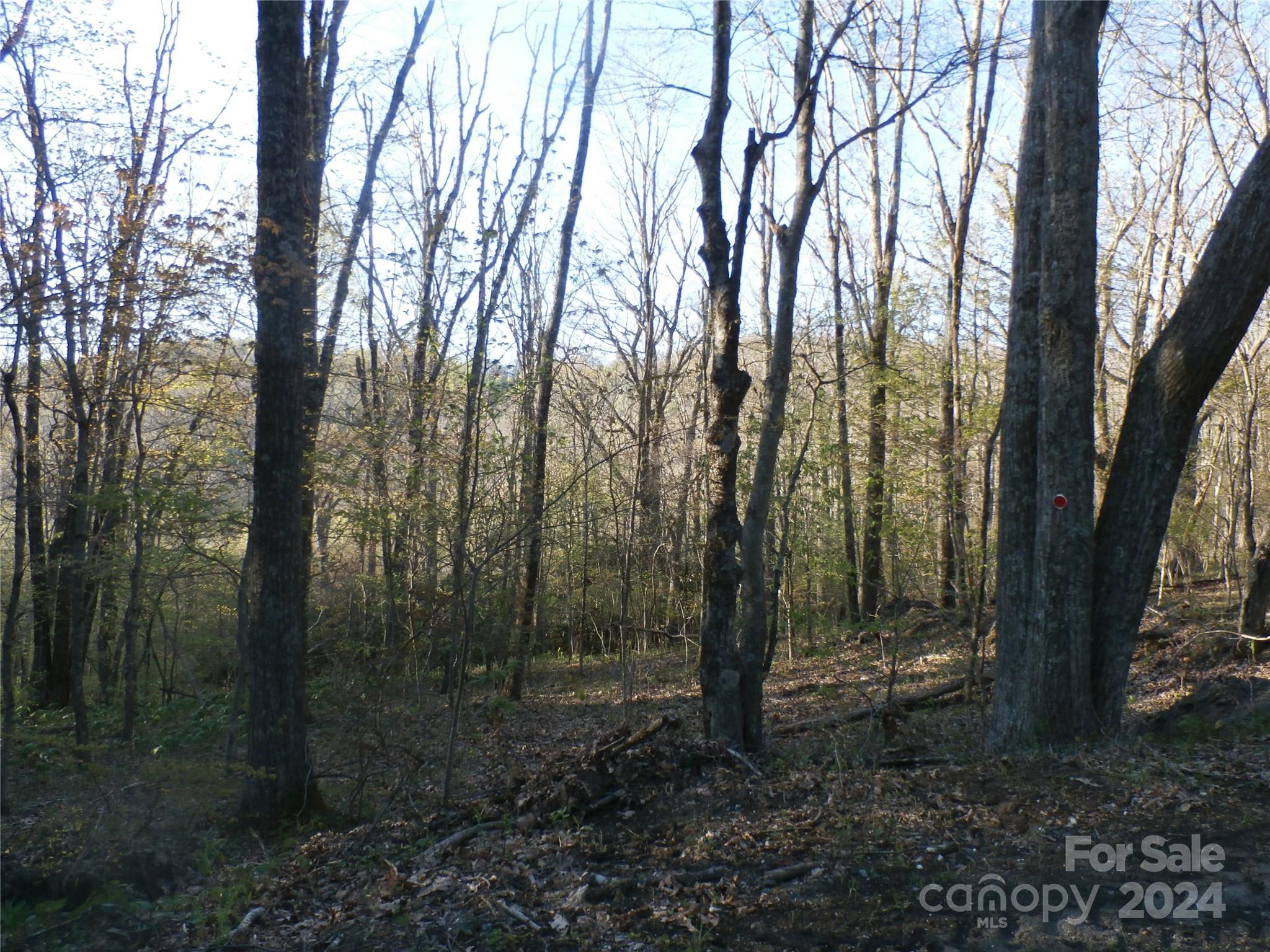 288 Firetower Road Spruce Pine, NC 28777 - Photo 32 of 47