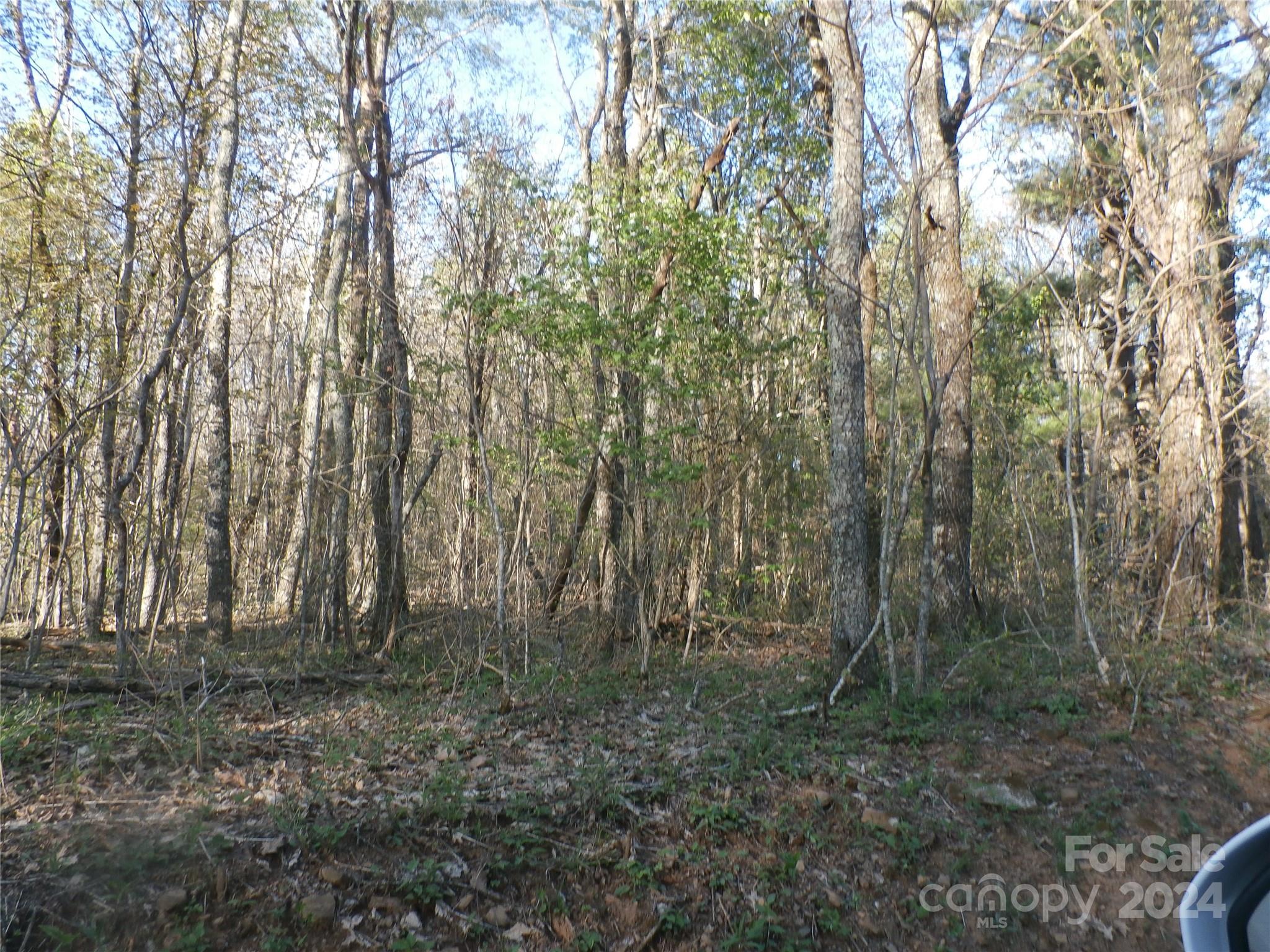 288 Firetower Road Spruce Pine, NC 28777 - Photo 33 of 47 a view of outdoor space and green space