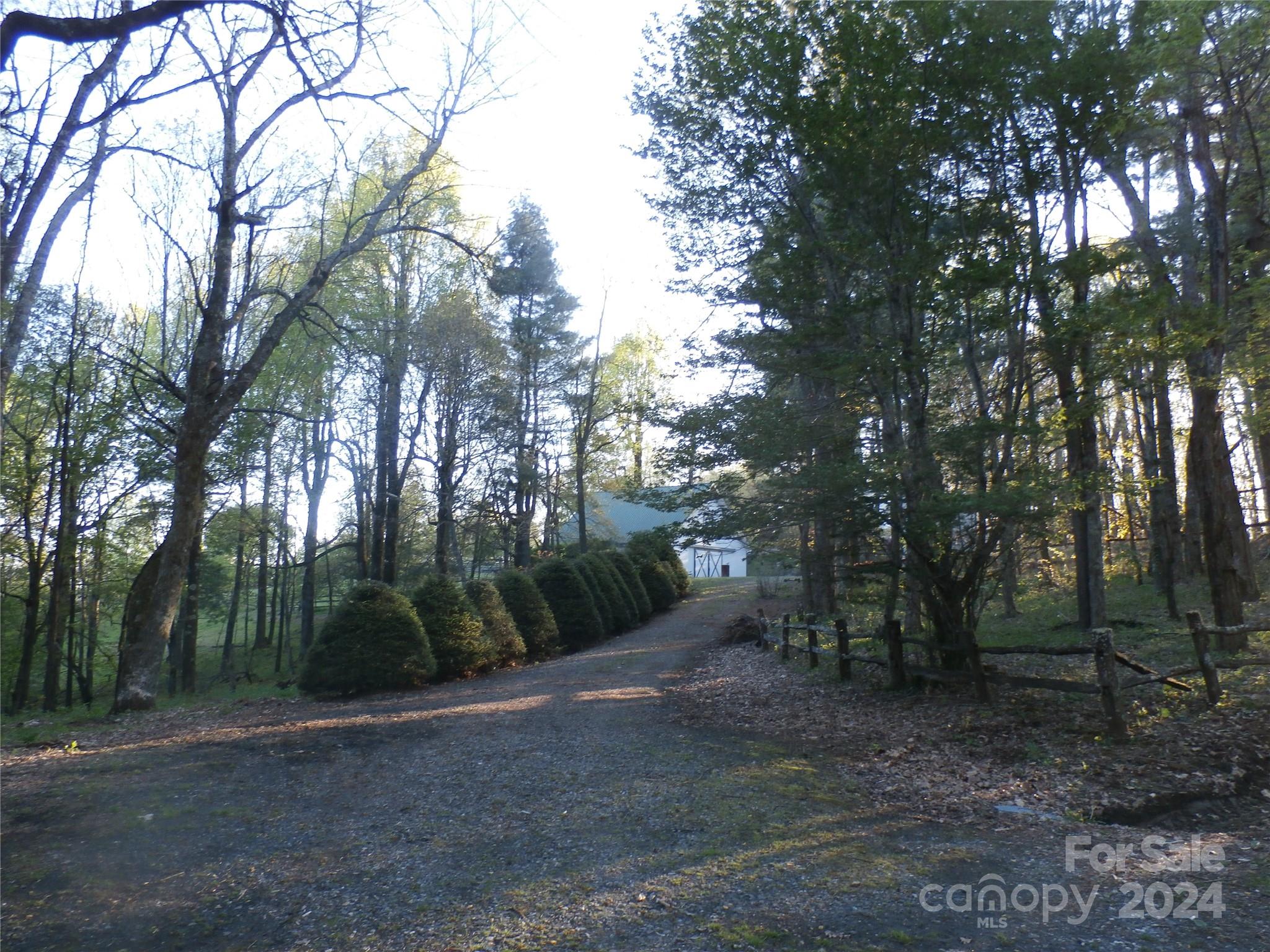 288 Firetower Road Spruce Pine, NC 28777 - Photo 37 of 47 a view of a forest with trees