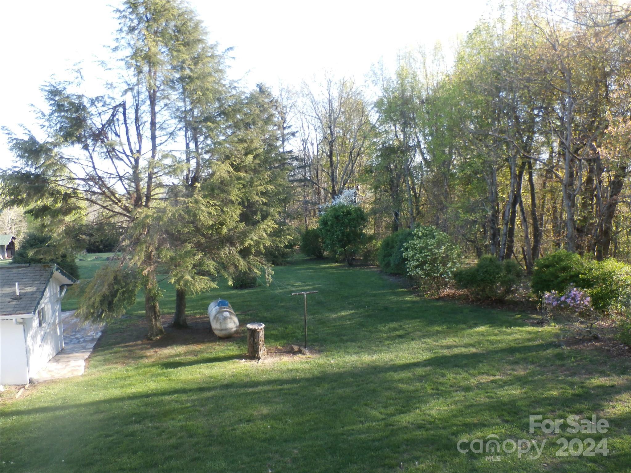288 Firetower Road Spruce Pine, NC 28777 - Photo 39 of 47 a view of a park with large trees