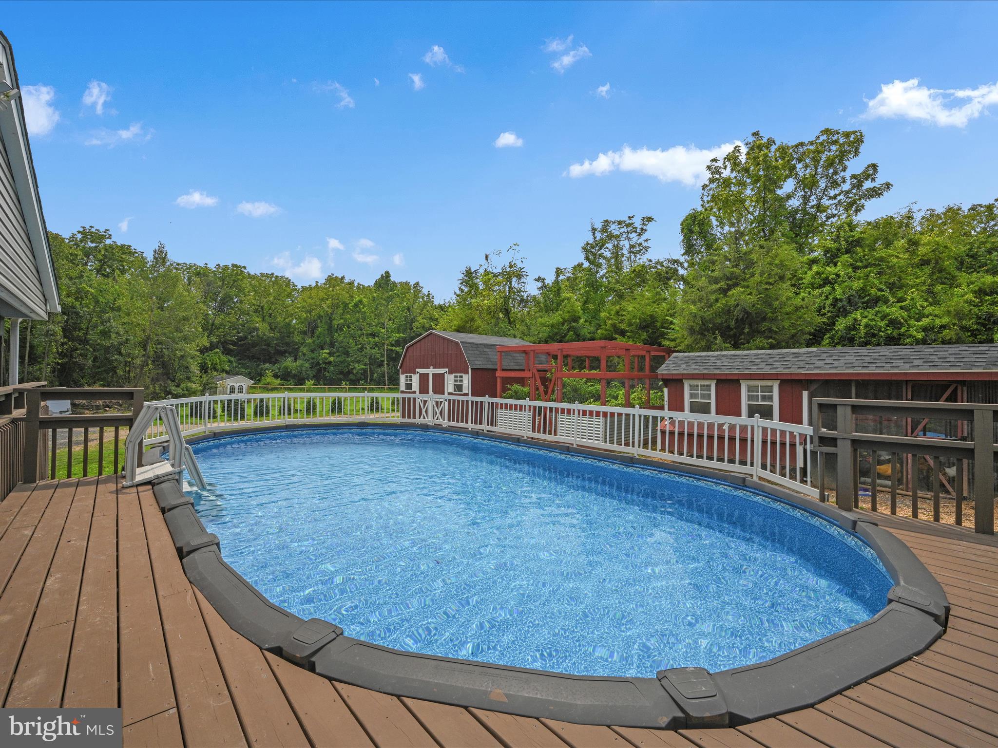 1279 Washington Road Leesport, PA 19533 - Photo 42 of 54 Swimming Pool