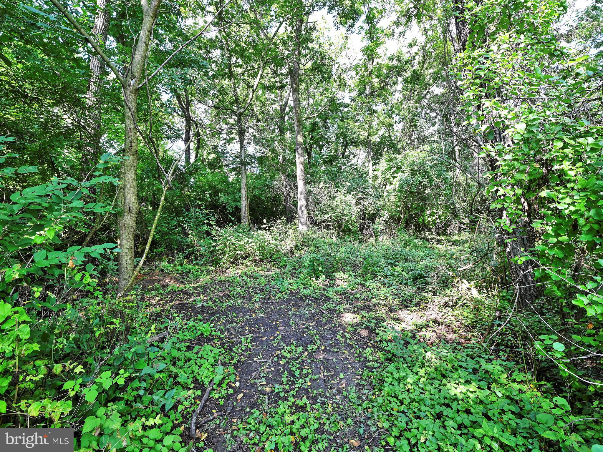 1279 Washington Road Leesport, PA 19533 - Photo 51 of 54 Wooded