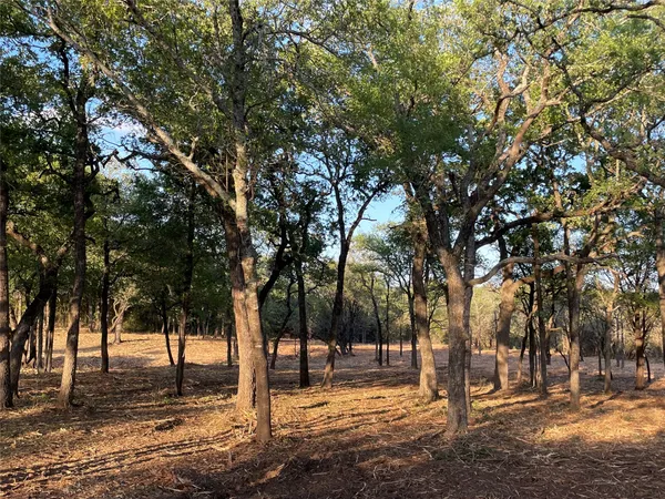 a view of a yard with trees