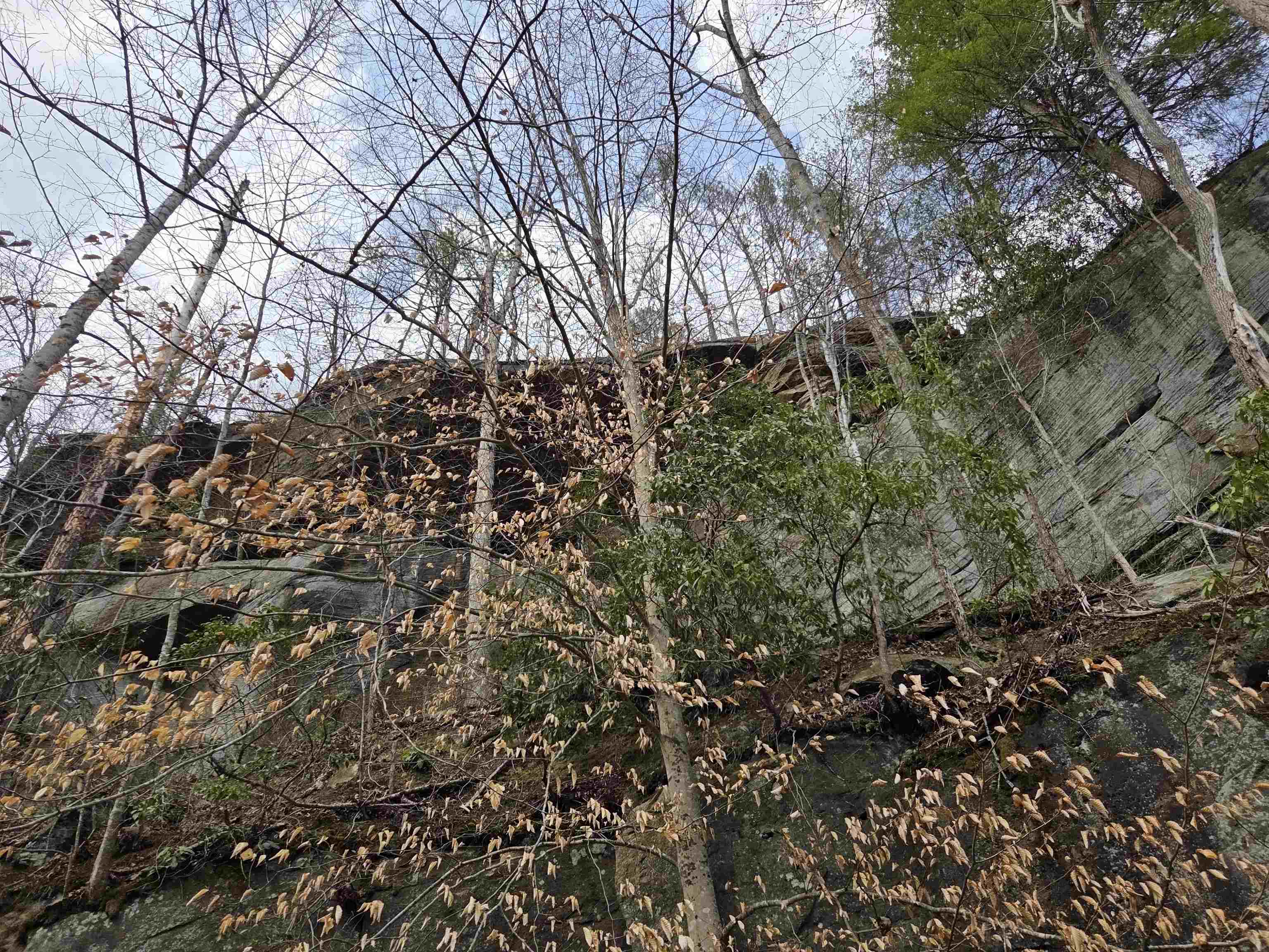 Kiser Fork Road Olive Hill, KY 41164 - Photo 15 of 46 Gallery Image 15