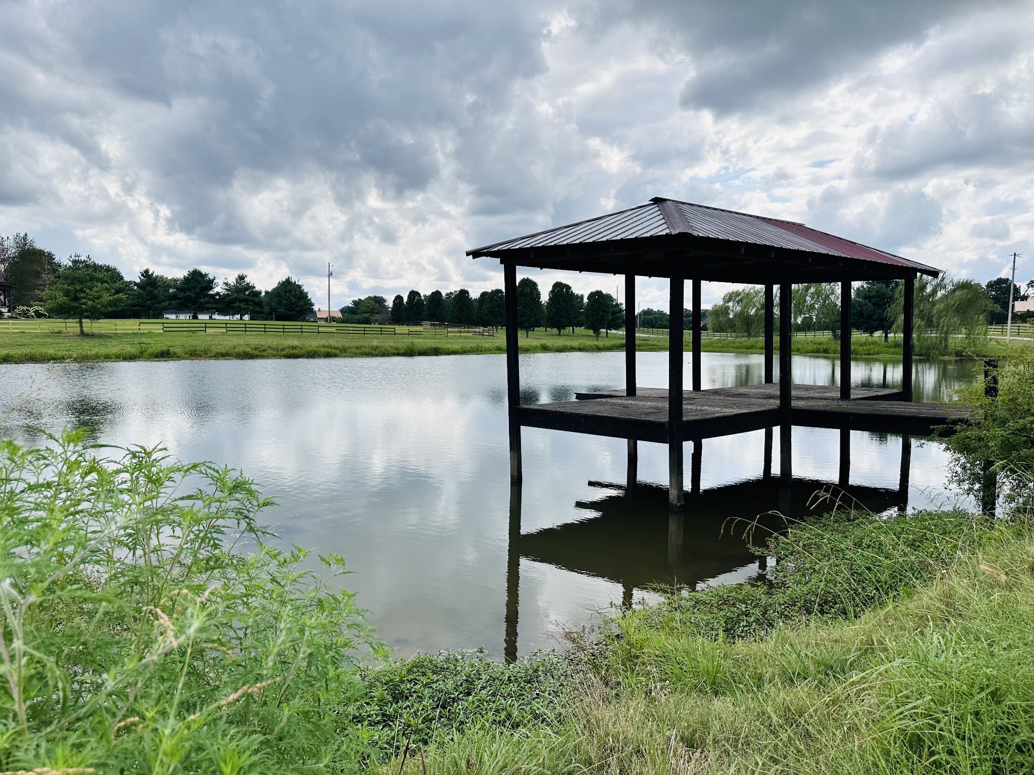 a view of a lake with a garden