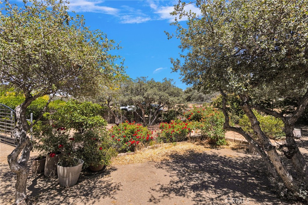 7031 Joshua Road Oak Hills, CA 92344 - Photo 67 of 77