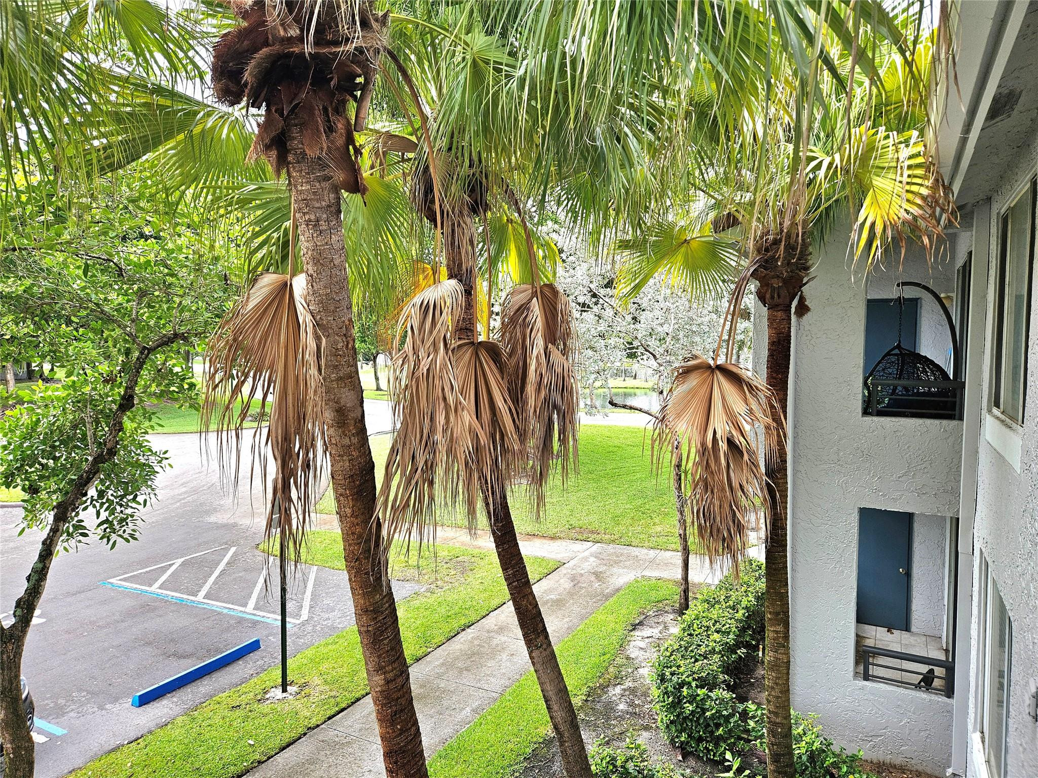 701 Lyons Road, Unit 13205 Coconut Creek, FL 33063 - Photo 12 of 37 a view of a backyard