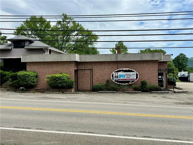 a front view of a house with plants