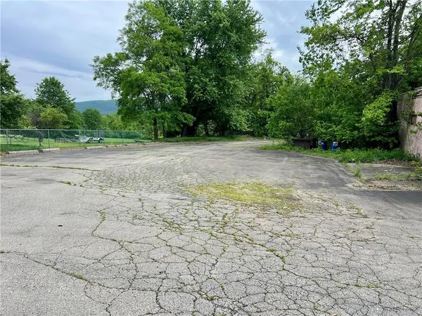 a view of a yard with trees