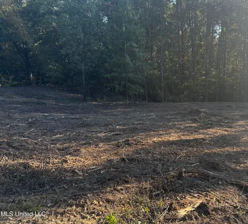$200,000 | Lot 6 Summer Circle, Lake Cormorant, MS 38641