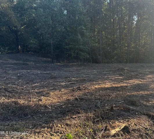 $200,000 | Lot 6 Summer Circle, Lake Cormorant, MS 38641