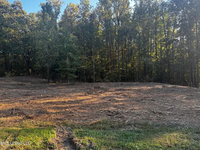$200,000 | Lot 6 Summer Circle, Lake Cormorant, MS 38641