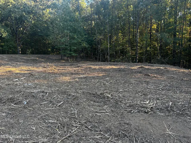 $200,000 | Lot 6 Summer Circle, Lake Cormorant, MS 38641