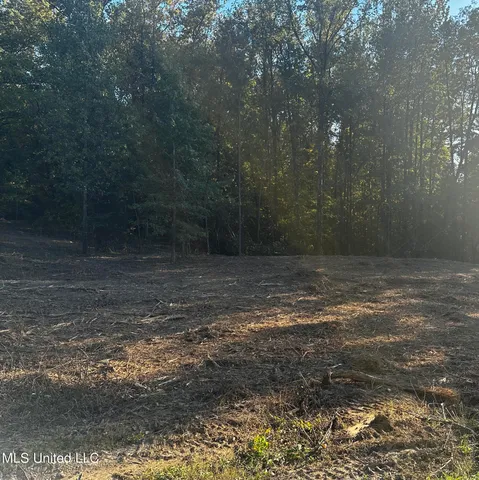 $200,000 | Lot 6 Summer Circle, Lake Cormorant, MS 38641