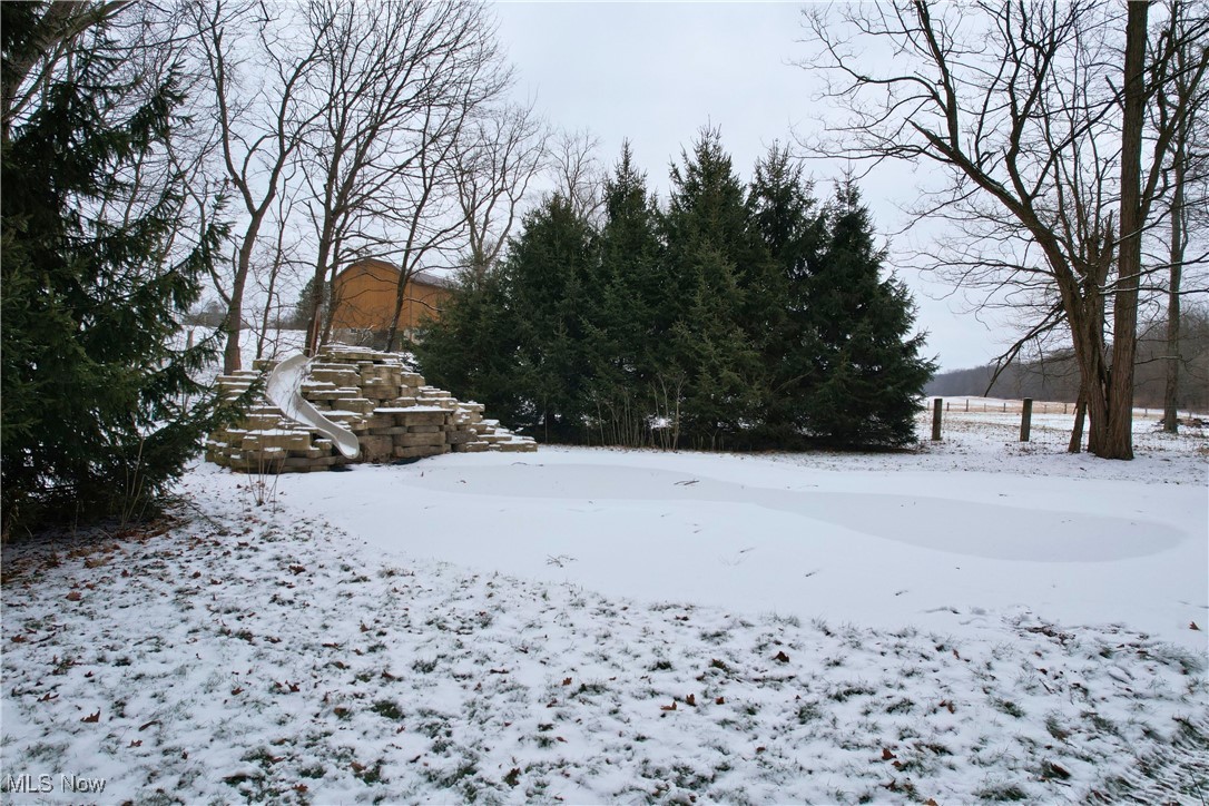 8026 Lee Road Northwest Malvern, OH 44644 - Photo 42 of 44 View of snowy yard
