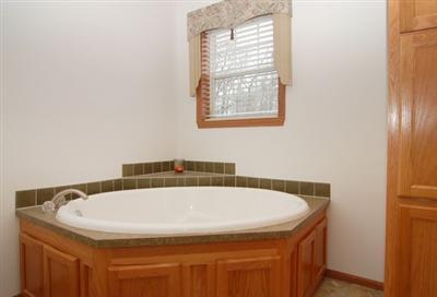 19021 Beaver Dam Road Galien, MI 49113 - Photo 8 of 10 Additional Photo