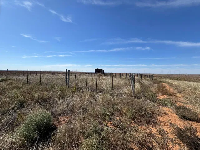 a view of a yard with an outdoor space