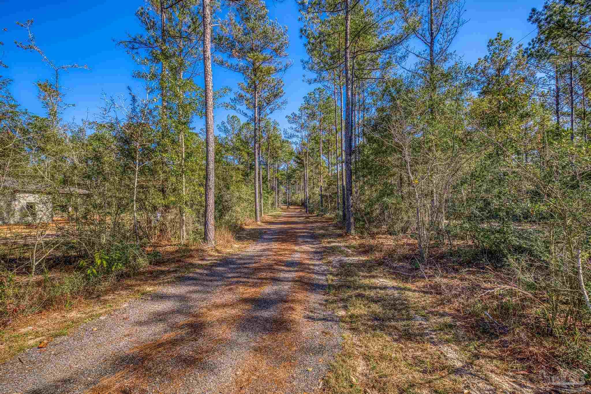 8030 Gin Road Milton, FL 32571 - Photo 6 of 13 a view of a yard with trees