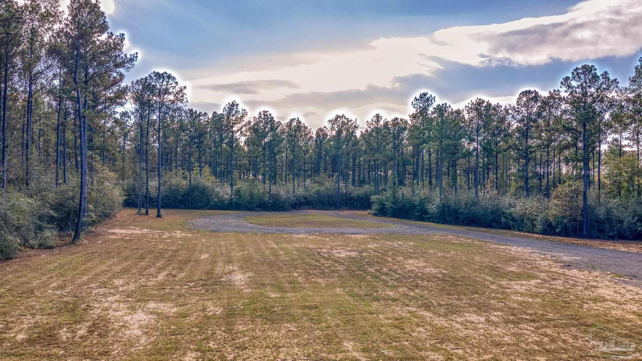 8030 Gin Road Milton, FL 32571 - Photo 7 of 13 a view of a yard with a tree